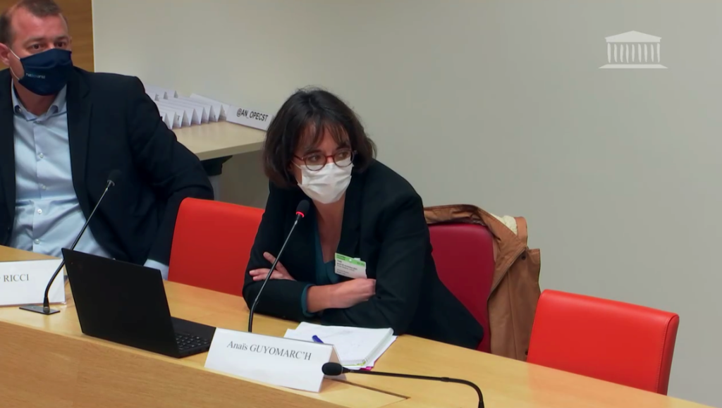 Thierry Ricci and Anaïs Guyomarc'h at a public hearing of the French National Assembly, November 2021