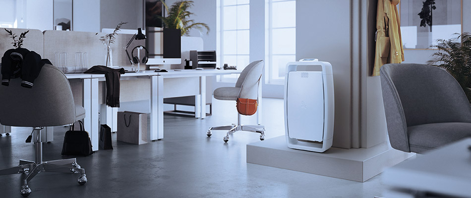 A professional air purifier will remove various pollutants from the indoor air