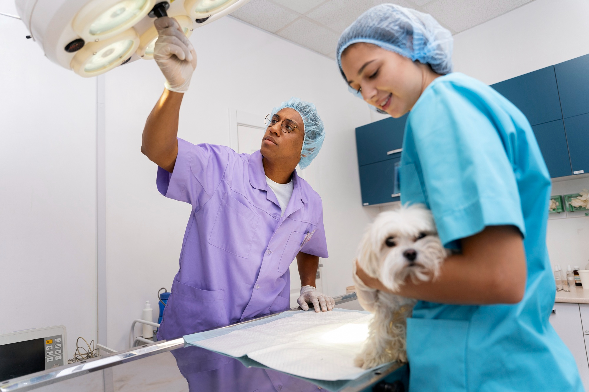 clinique-veterinaire-salle-de-chirurgie-2